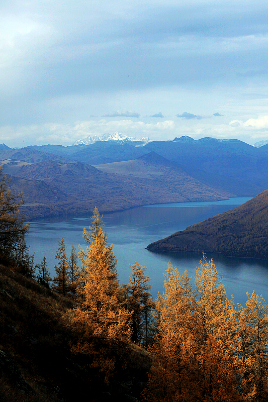 wKgBm04VDZv5civzAA2TkEa9J3I00.jpeg?imageView2%2F2%2Fw%2F600%2Fh%2F600%2Fq%2F90