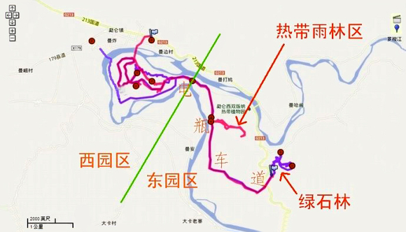 导游讲解 纯玩不进店 西双版纳勐仑植物园 傣族园1日游(深入奇境,雨林