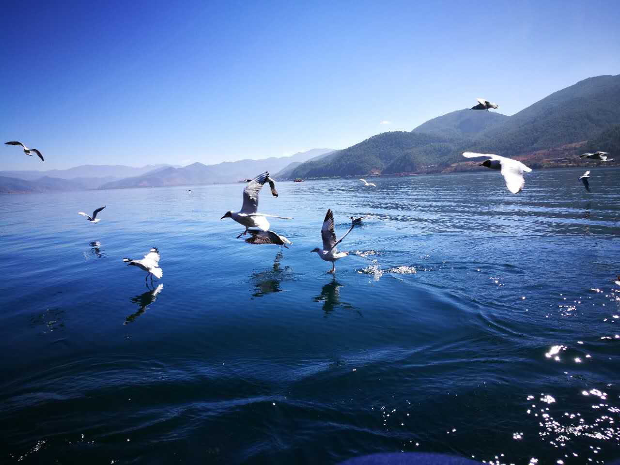 丽江,大理,泸沽湖