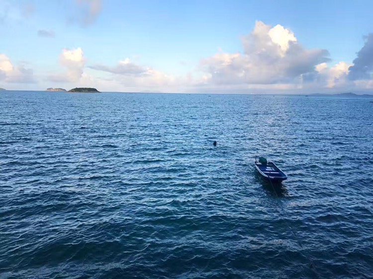 西涌点评-龙岗旅游攻略