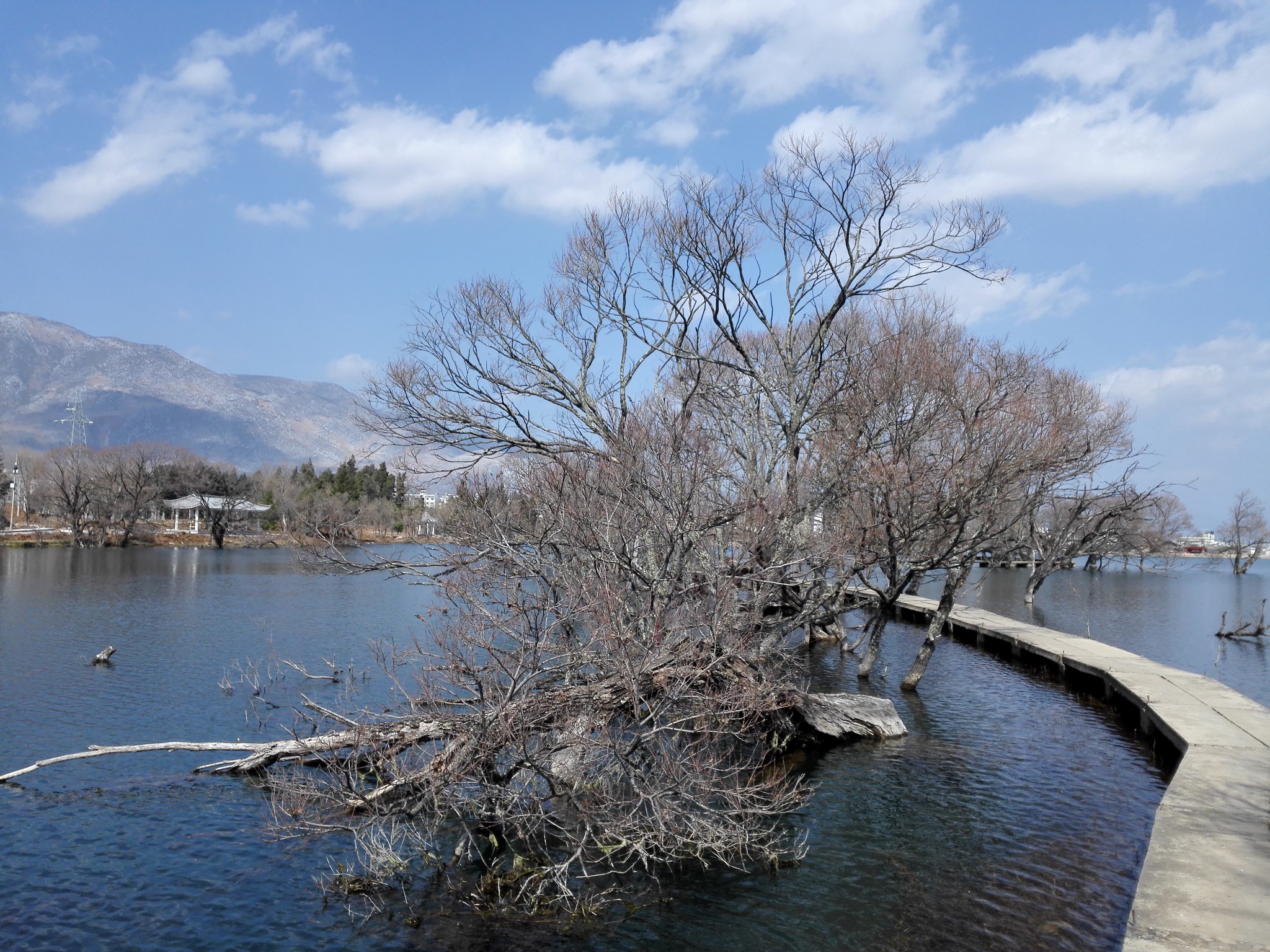 鹤庆——黄龙潭(继续完善)