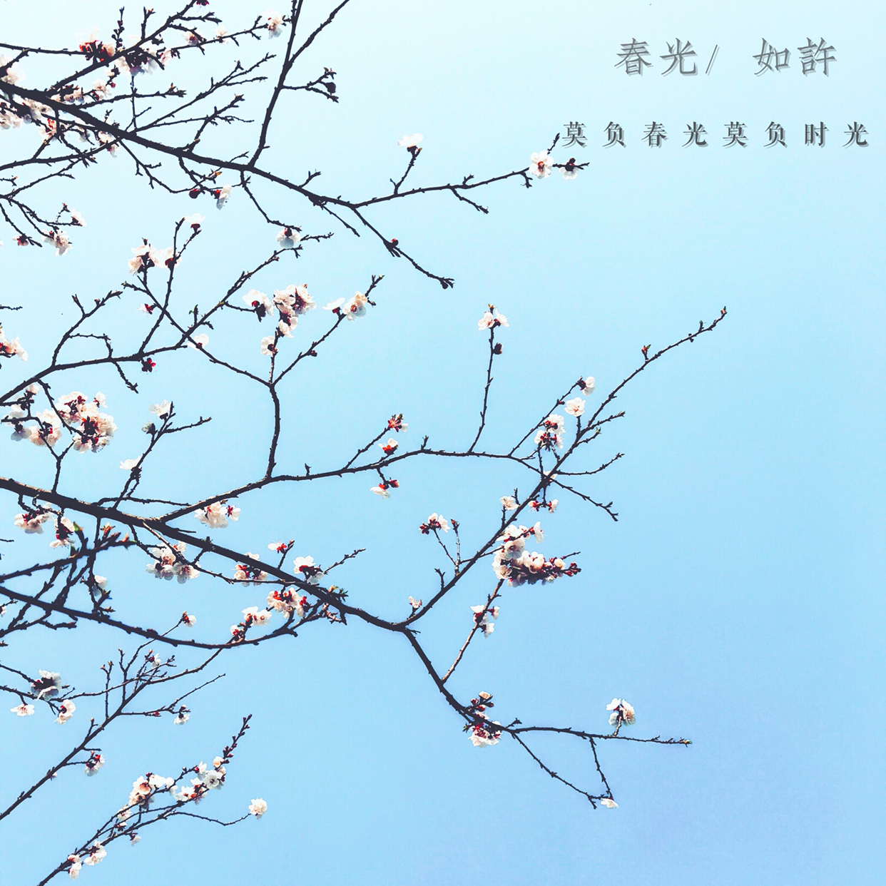 失恋!心情不好,精神压力过大,一个人想出去散散心,去哪里好呢?
