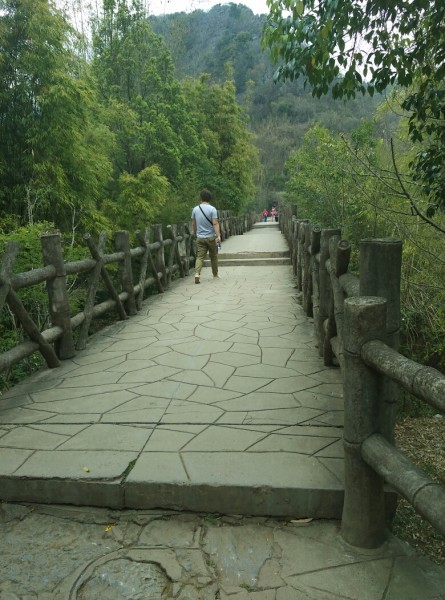 搭车去西双版纳 wKgBZ1hxFQKAO2RqAAyR6h8tj2o97.jpeg?imageView2%2F2%2Fw%2F600%2Fh%2F600%2Fq%2F90