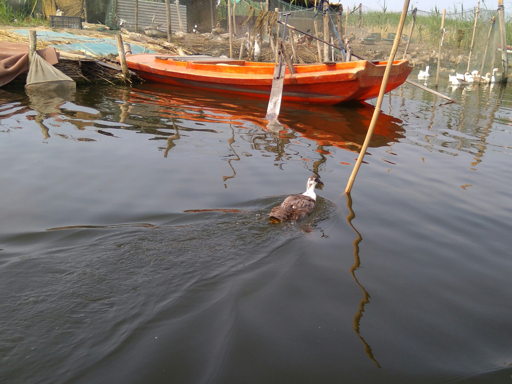 县里GDP高对市里有帮助吗_帮助别人的图片