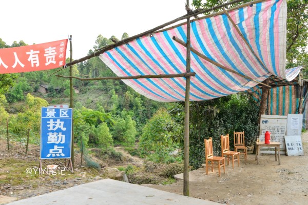 桫椤峡谷游玩攻略,乐山桫椤峡谷游玩攻略