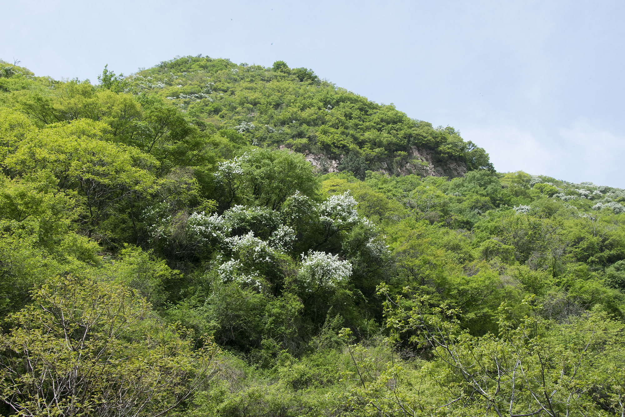 永济五老峰游记