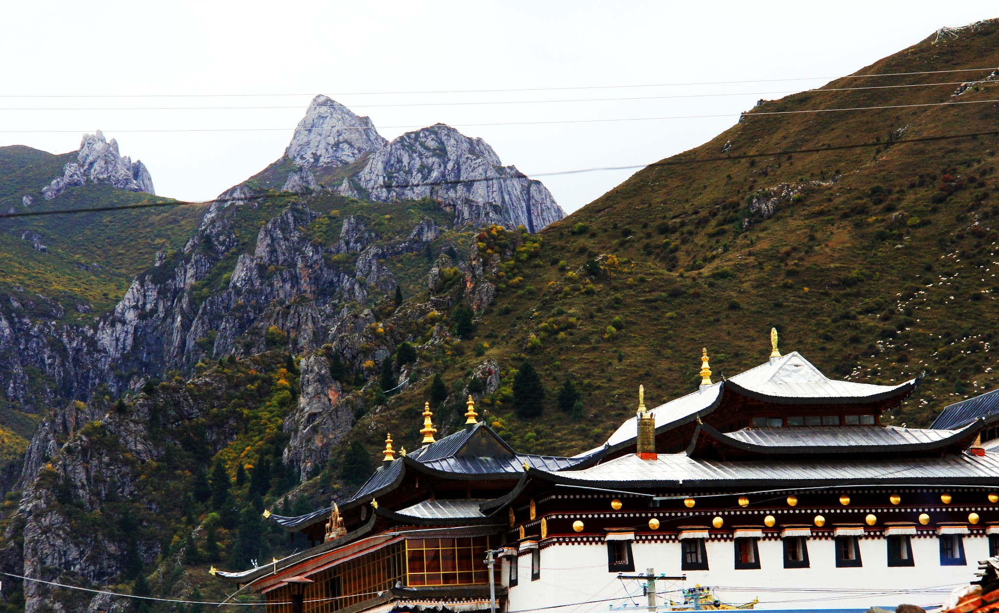 风景有毒 (上)----甘川青游之拉卜楞寺,桑科草原,郎木寺,扎尕那