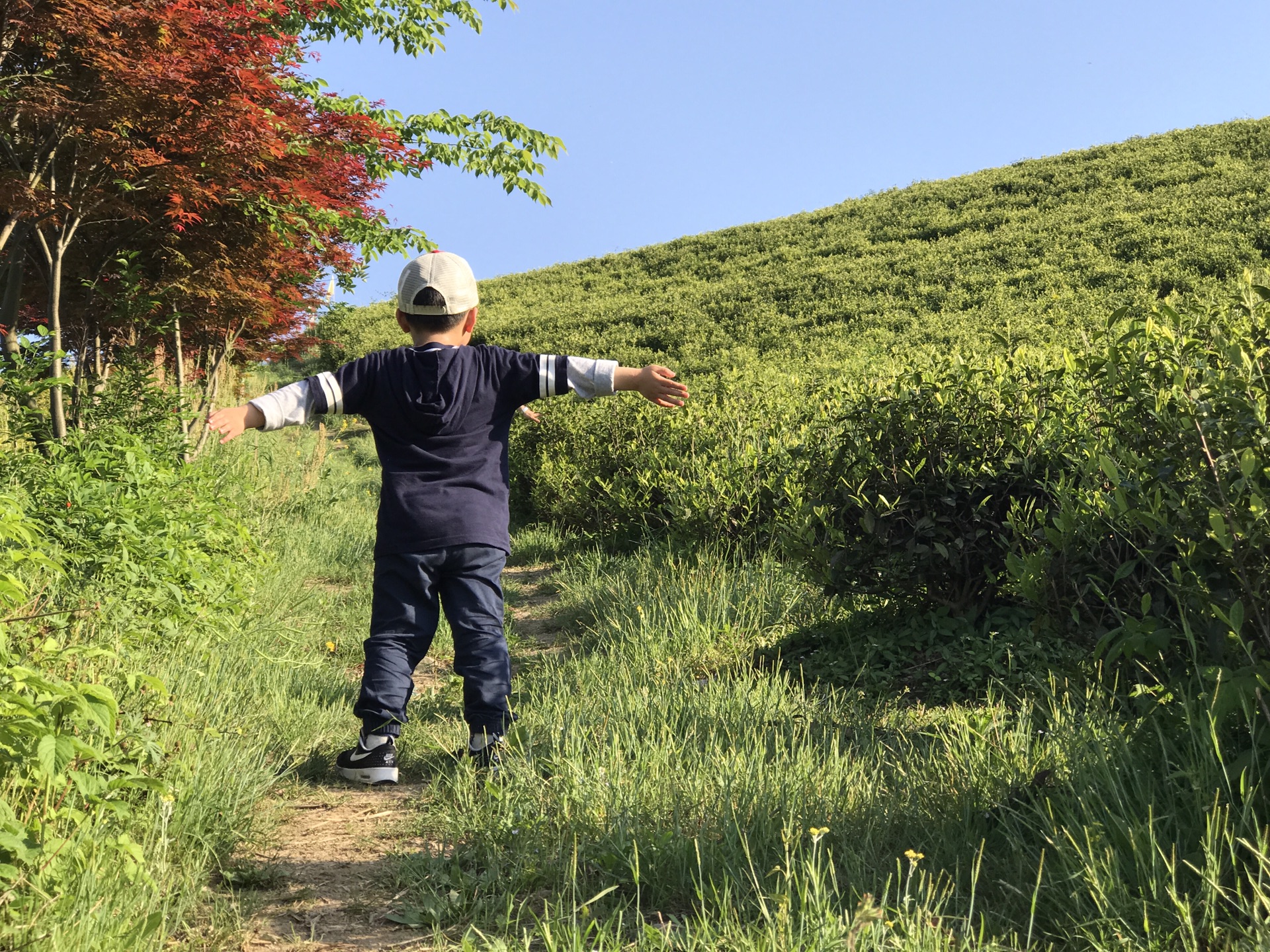 溧阳gdp2017_溧阳博物馆(2)