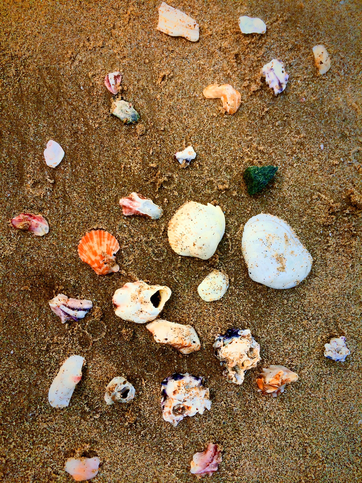 wKgBZ1iPaSuAIjYvABtt4oDtLrE52.jpeg?imageView2%2F2%2Fw%2F600%2Fh%2F600%2Fq%2F90