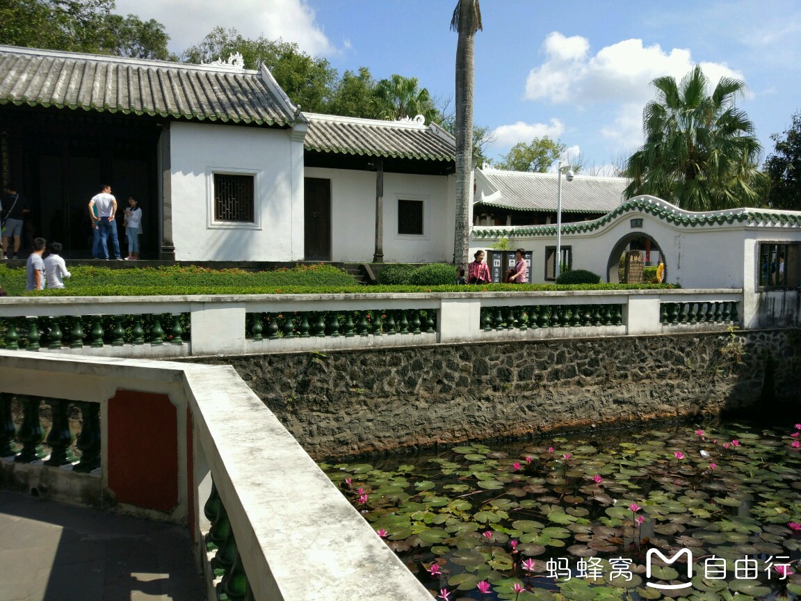 海口怎么搭渡轮回湛江_湛江西到海口火车硬卧