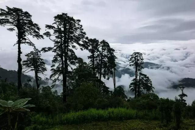 廷布gdp_不丹廷布图片