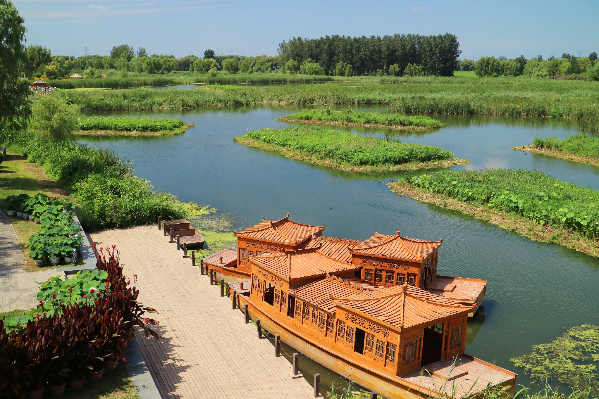 吟出水莲-再游铁岭莲花湖湿地