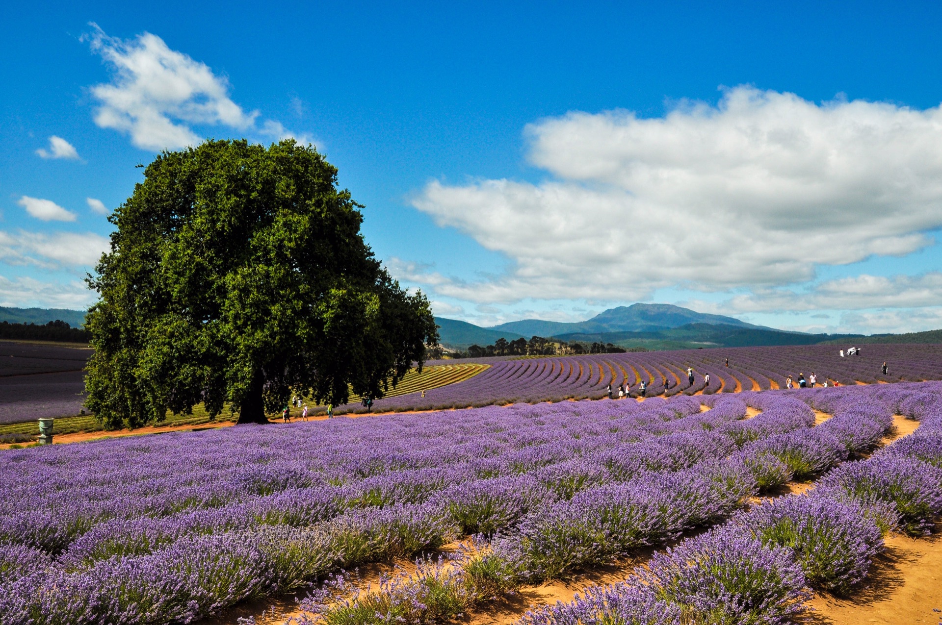 墨尔本周边游,墨尔本周边游景点,墨尔本周边旅游