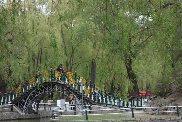 【原创】哈尔滨纪行——兆麟公园一瞥（组图）