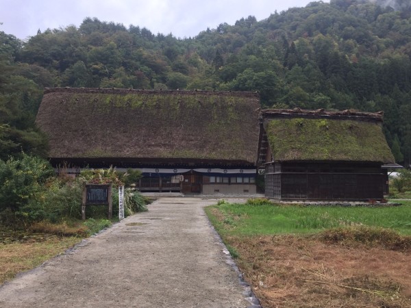 中查村游玩攻略,中查村游玩攻略路线