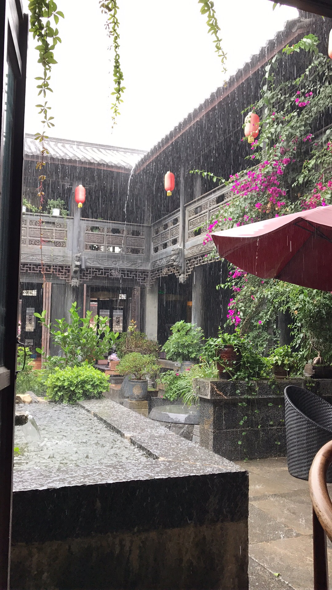 day7 下雨天～静静在小院坐着～看着院里的青蛙跳来跳去～余味悠长