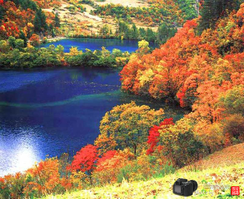 wKgBpU5wqtaWDIC1AAdM0_XDMOs04.jpeg?imageView2%2F2%2Fw%2F600%2Fh%2F600%2Fq%2F90