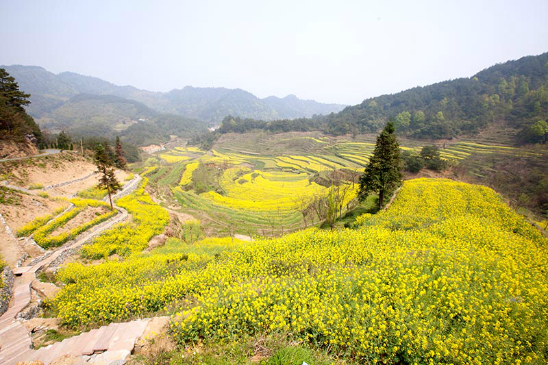 黄山歙县哪个乡镇人口最多_黄山歙县新安江图片(2)