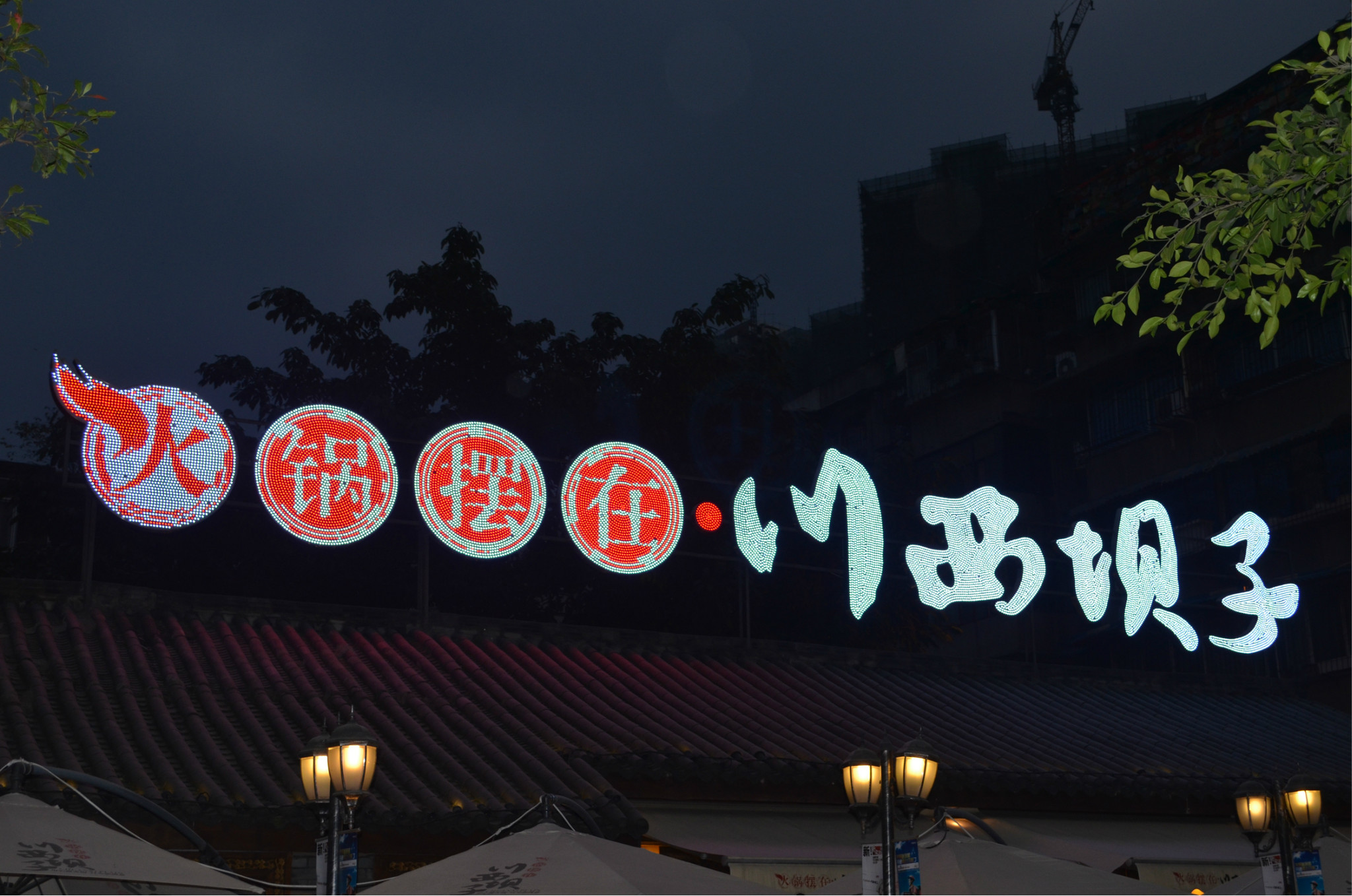 川西坝子人均_川西坝子图片(2)