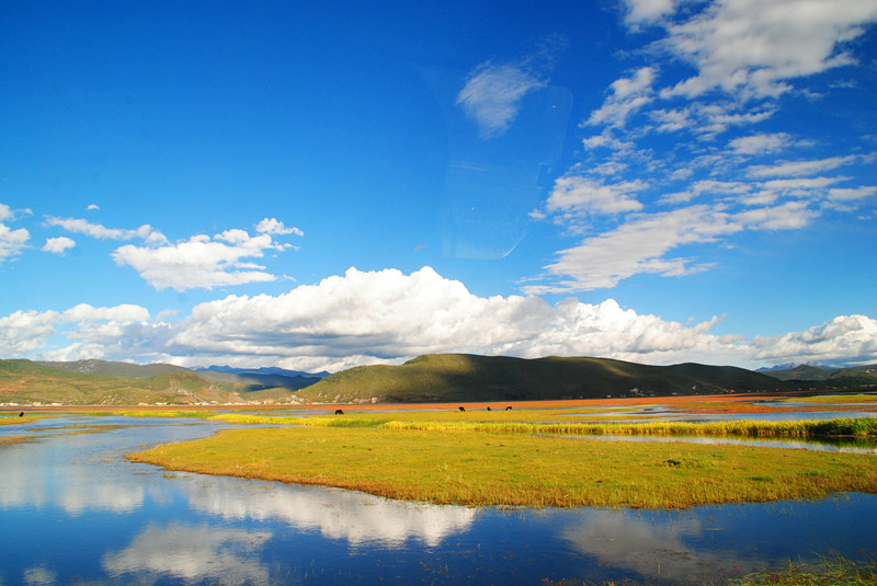 纳帕海自然保护区是滇西北最大的春季牧场.