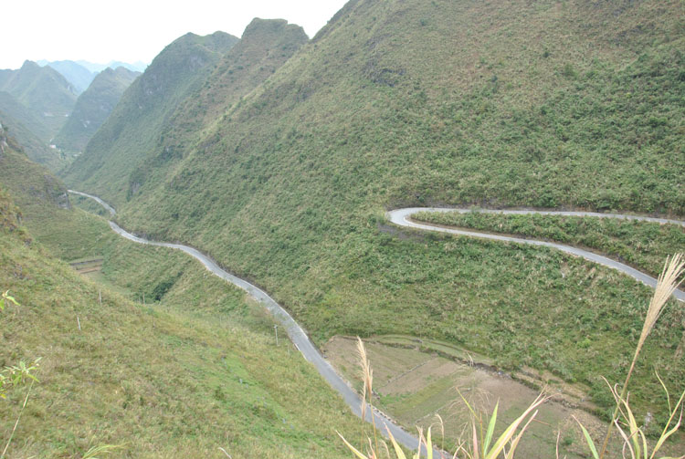 山姓全国有多少人口_山东出现肺炎疫情分布图 全国肺炎疫情最新分布图 山东(3)