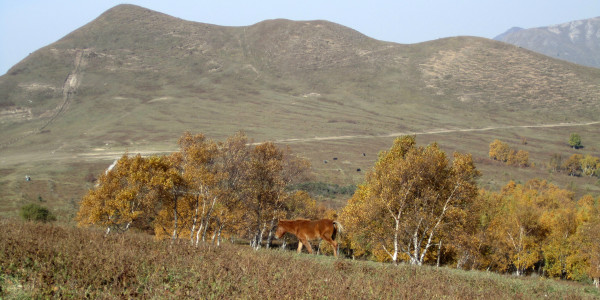 北京灵山一日游图片