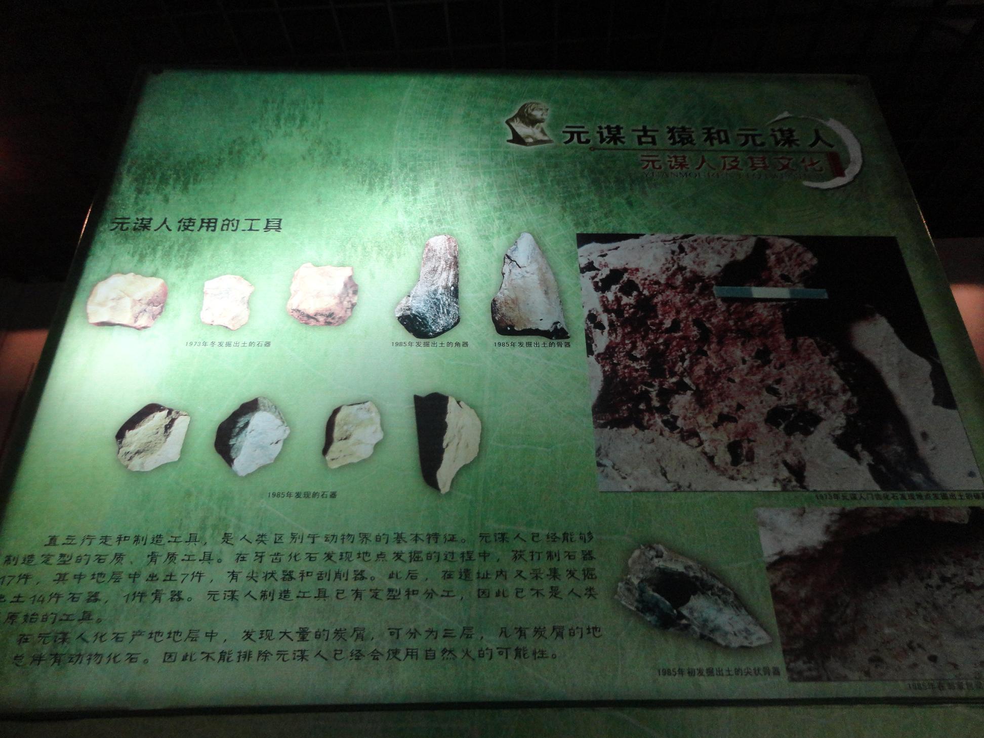 元谋人口诀_北京元谋人照片(2)