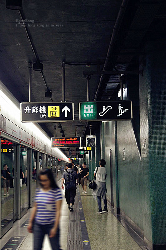 鸭子港人口_鸭子卡通图片(3)