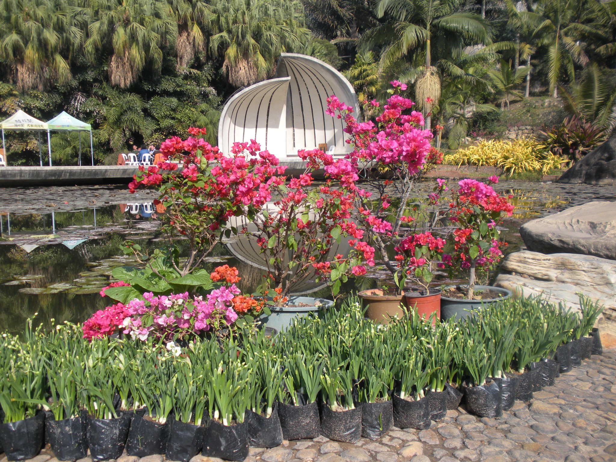 厦门园林植物园百花厅