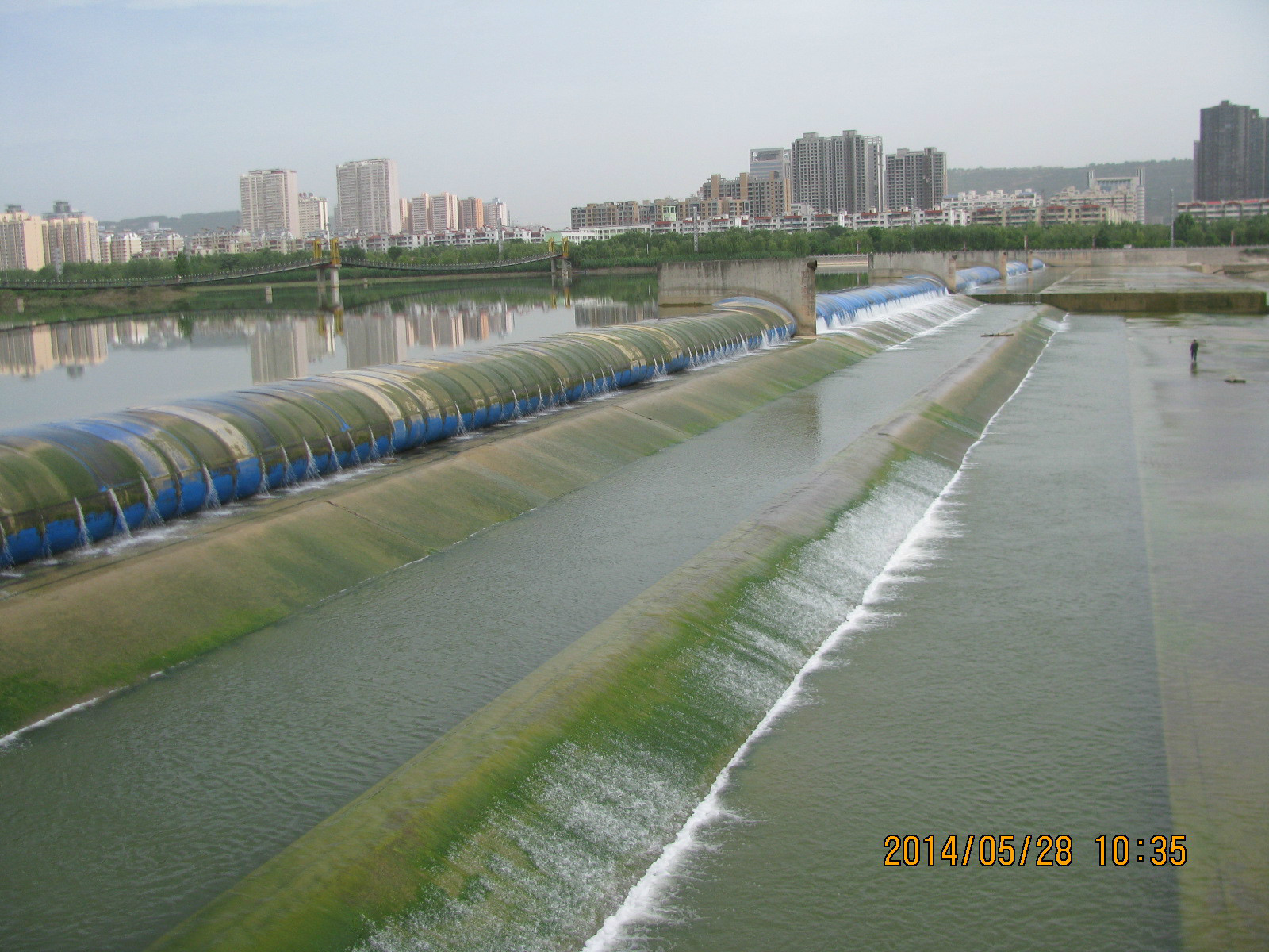 金渭湖