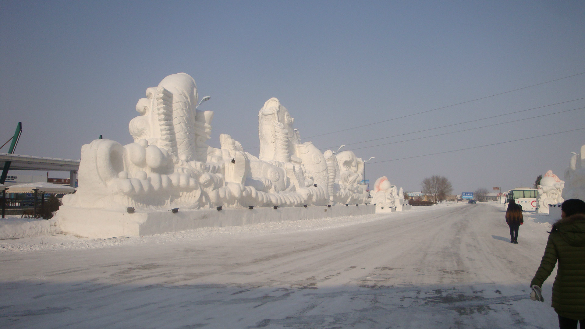 八人口技唱林海雪原_林海雪原图片(3)