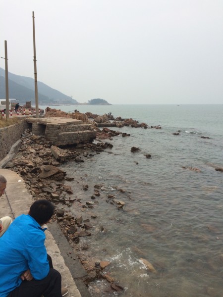 焦黄岛游玩攻略,焦黄岛游玩攻略一日游