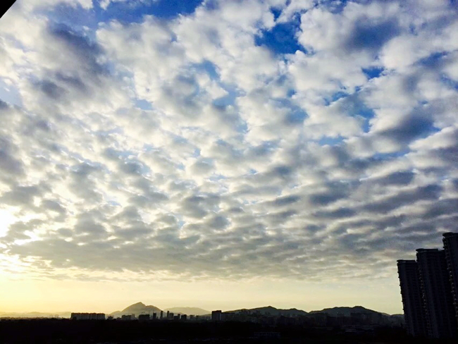 梦境奇缘，解析梦见飞机落在自己院子里的深层含义