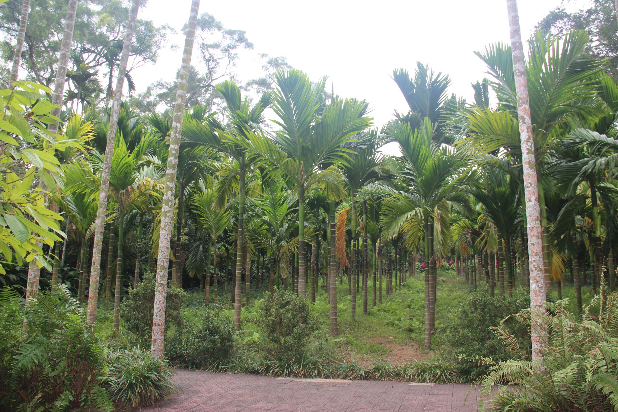 wKgBpVUhAACAZRaHAA6EjXY2lj428.jpeg?imageView2%2F2%2Fw%2F600%2Fh%2F600%2Fq%2F90