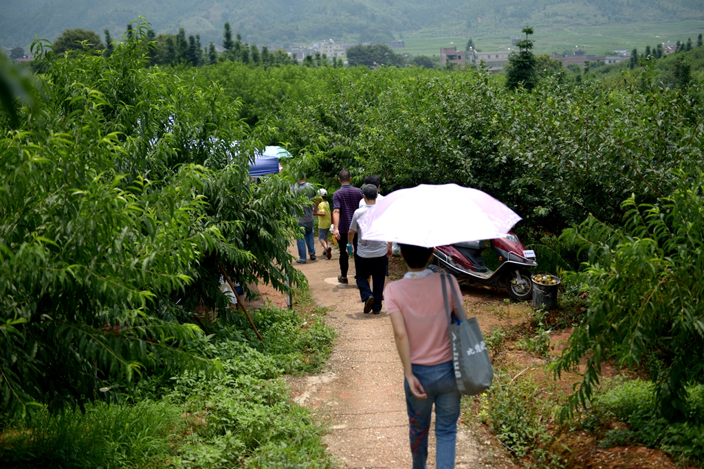 达什么贵什么成语_达咩吴京什么梗(3)