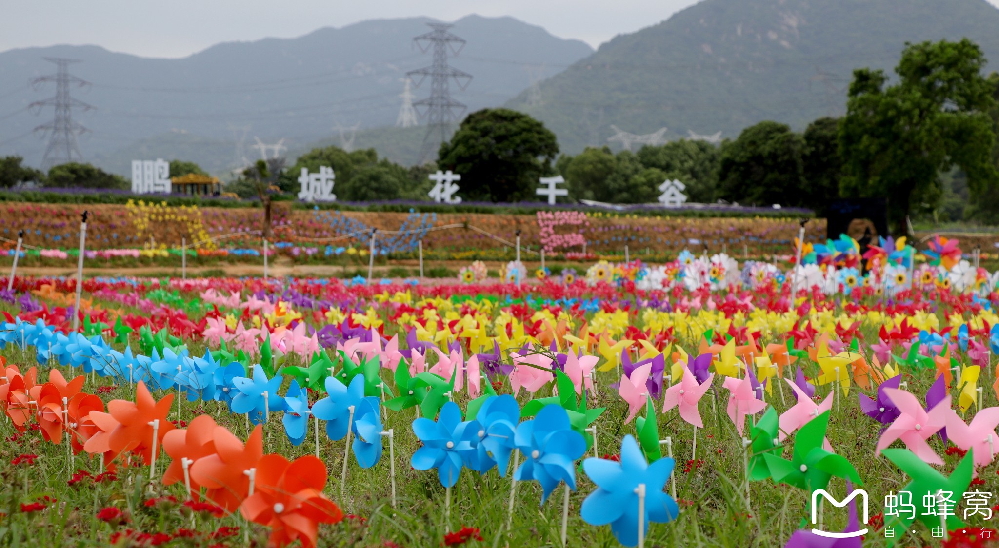 深圳鹏城《花千谷》一日游,赏花游玩好去处!