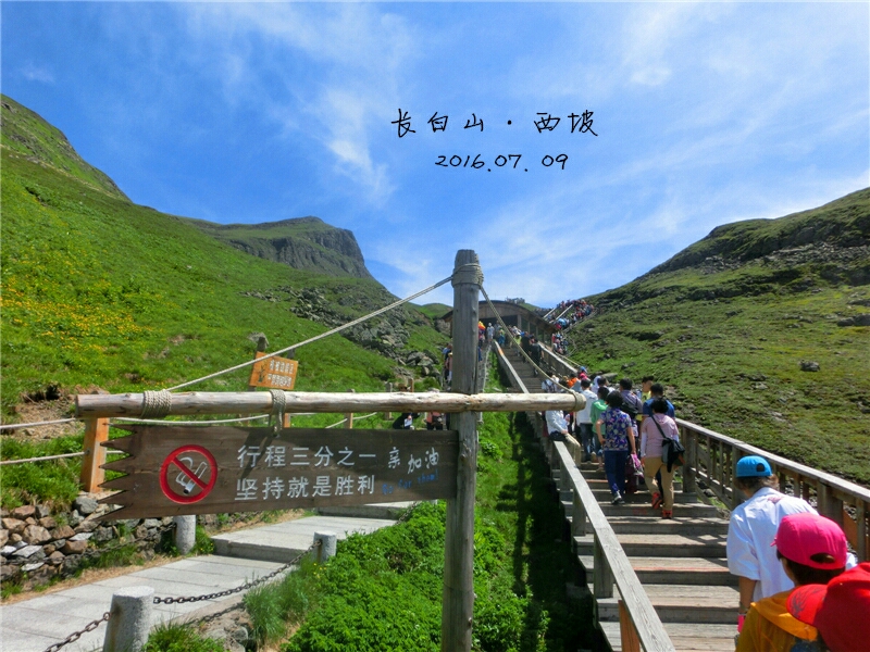 长白山西坡         