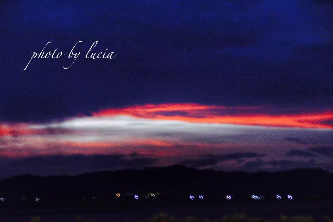 一盆花猜成语_一盆花图片(3)