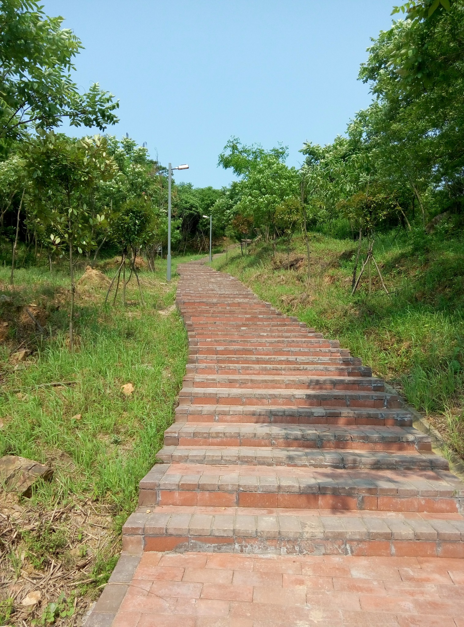 湘潭4大山————金霞山