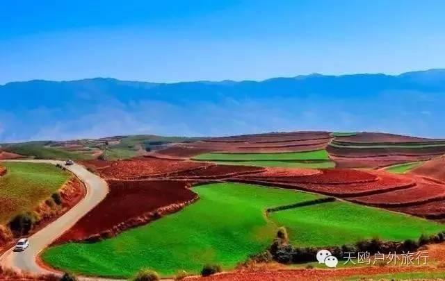 wKgBs1gm9BiAKN1hAACGo3iyhkk43.jpeg?imageView2%2F2%2Fw%2F600%2Fh%2F600%2Fq%2F90