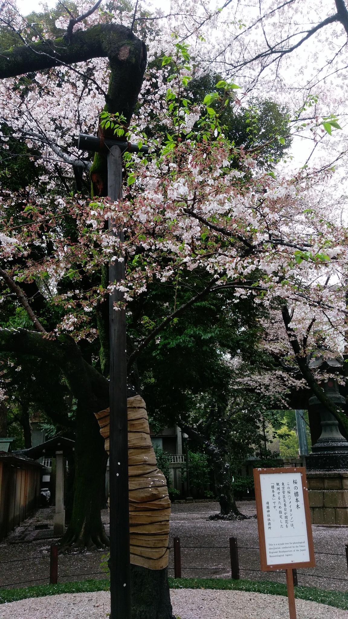 靖国神社          