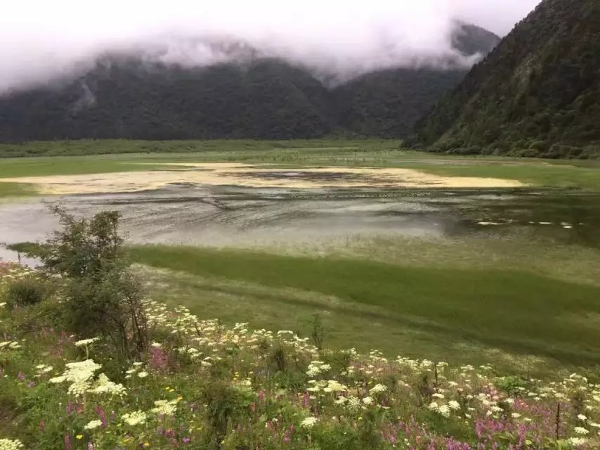 畅游人间仙境----虎牙花绿二海