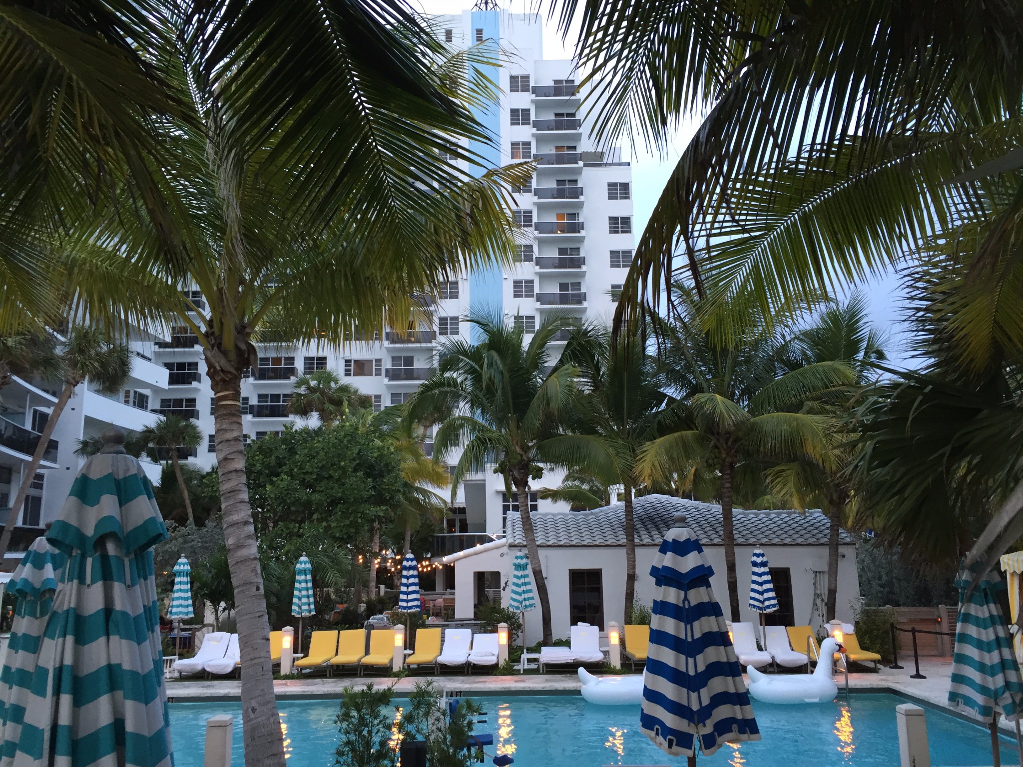 迈阿密排名_迈阿密风云巩俐(3)