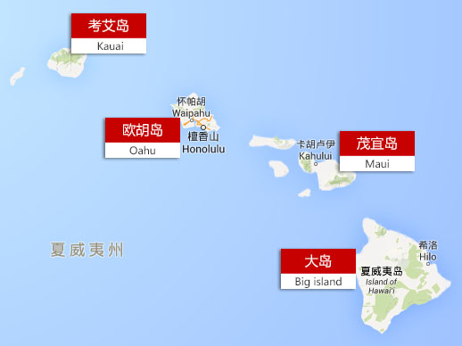 夏威夷人口数_夏威夷果