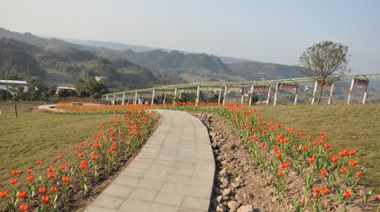 宜宾彩山门票