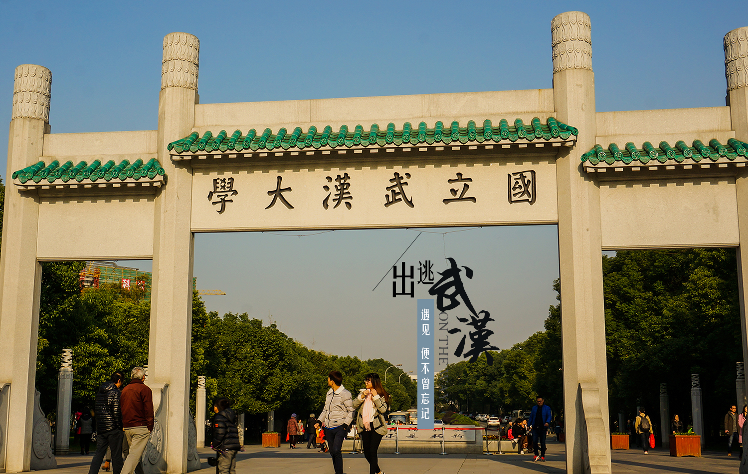 武汉出逃人口_武汉地铁出人口图片
