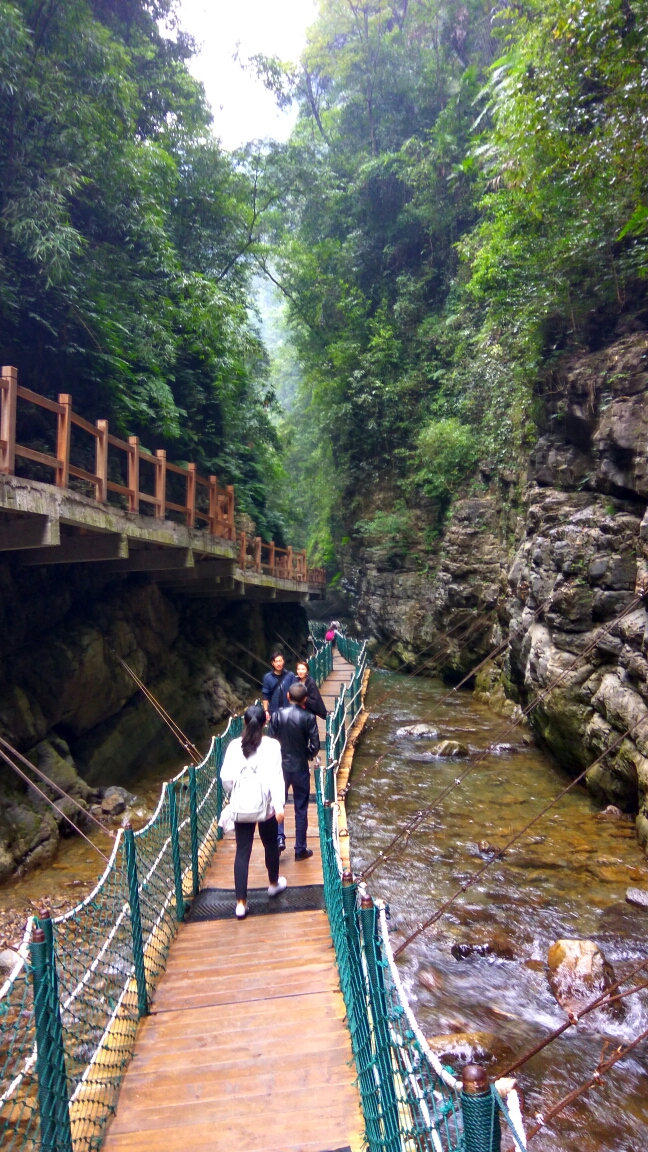 重庆之旅-万盛区篇(黑山谷),重庆旅游攻略 - 马蜂窝