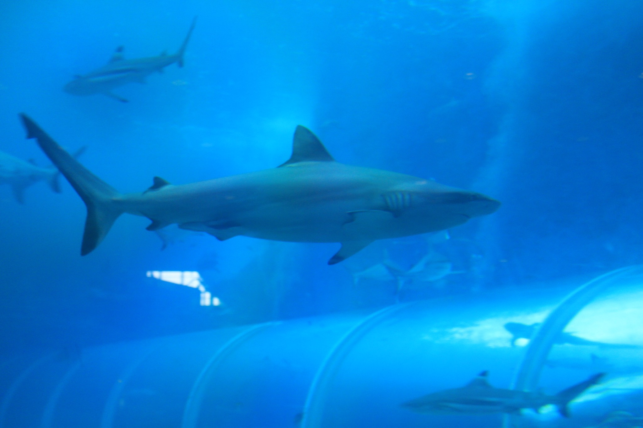 新加坡酒店_新加坡旅游景点_新加坡收入消费