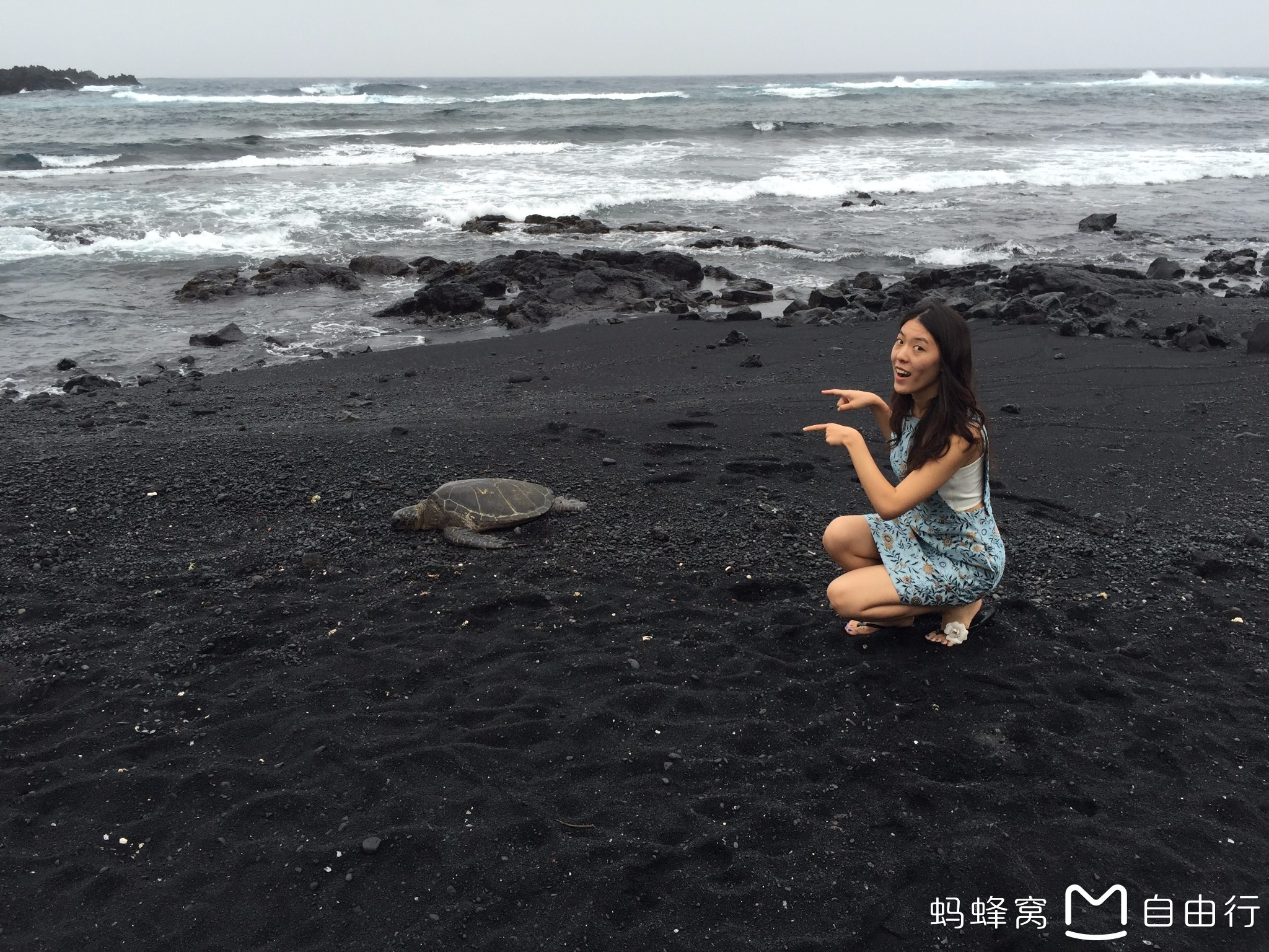 aloha-2016年10月夏威夷蜜月之旅(欧胡岛,大岛和茂宜岛)内含跳伞攻略