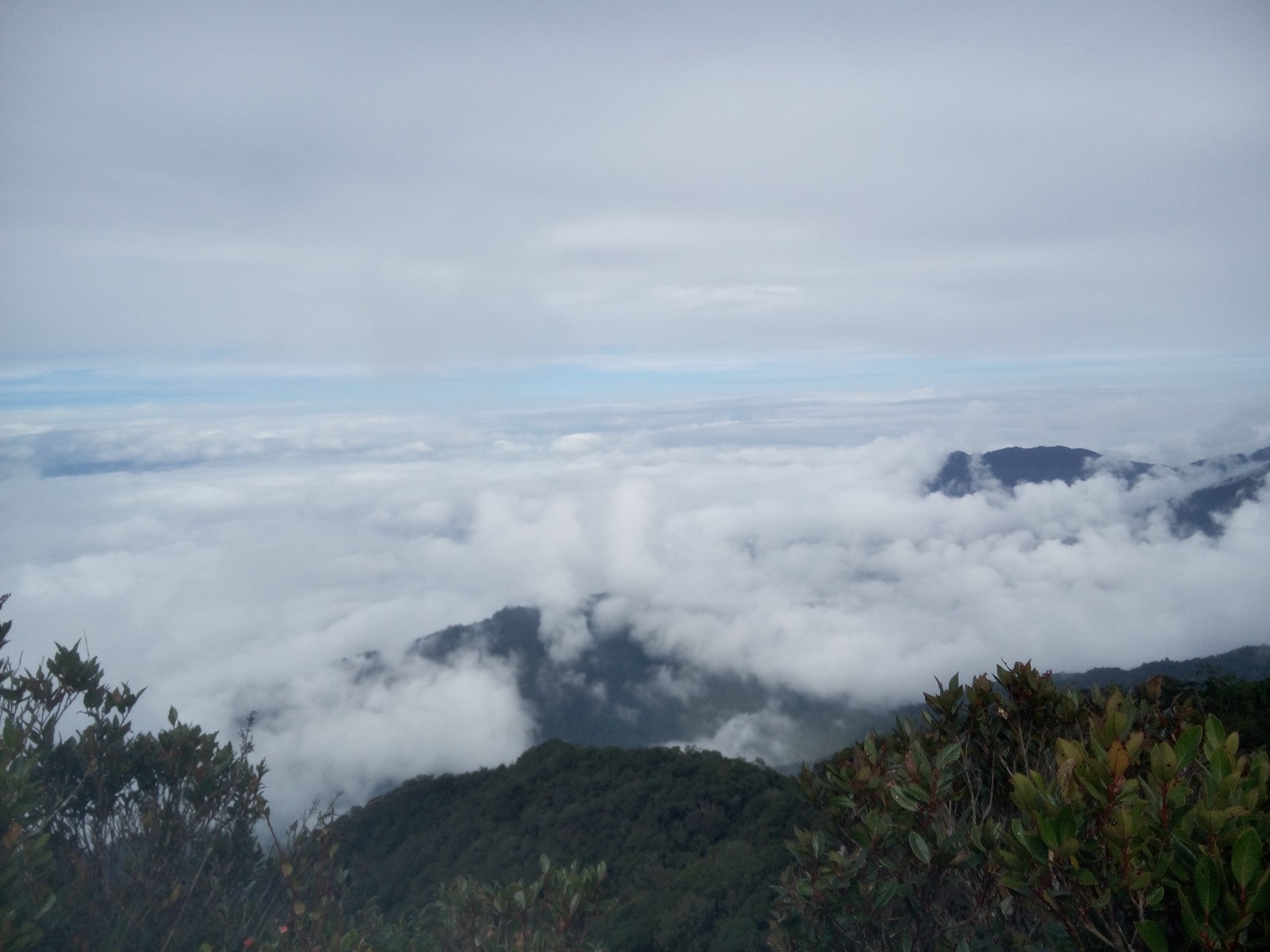 五指山人口_五指山的人口